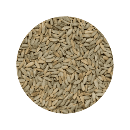 Framed Rye grains
